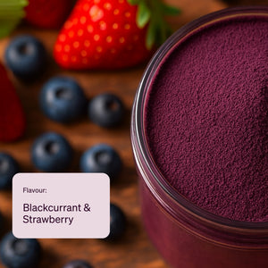 SALE - The Brain x Gut Powder⁺