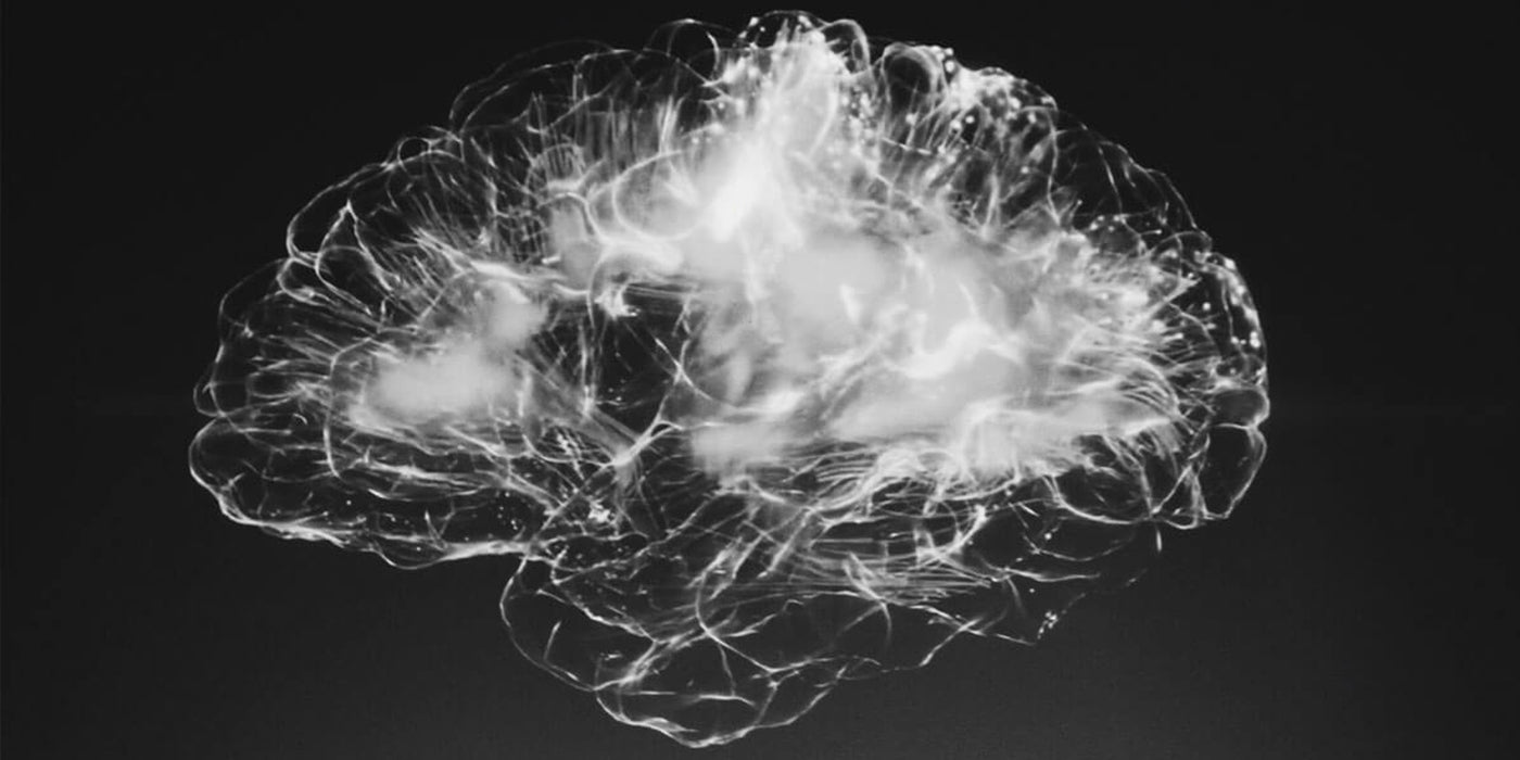 Brain Fog? Inflammation could be to blame