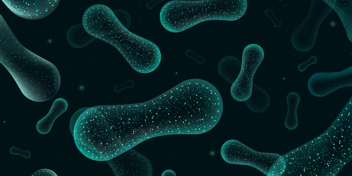 How Gut Bacteria Can Affect Brain Health
