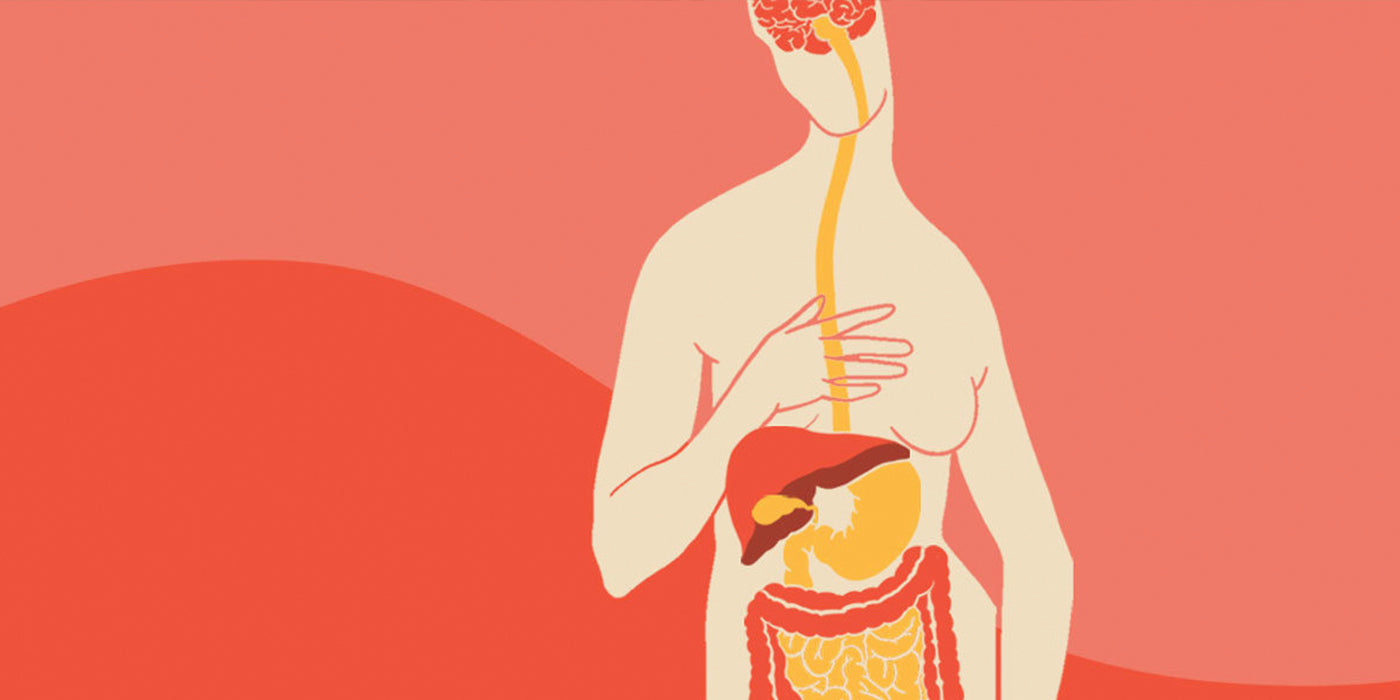Researchers discover how gut bacteria can influence stroke severity