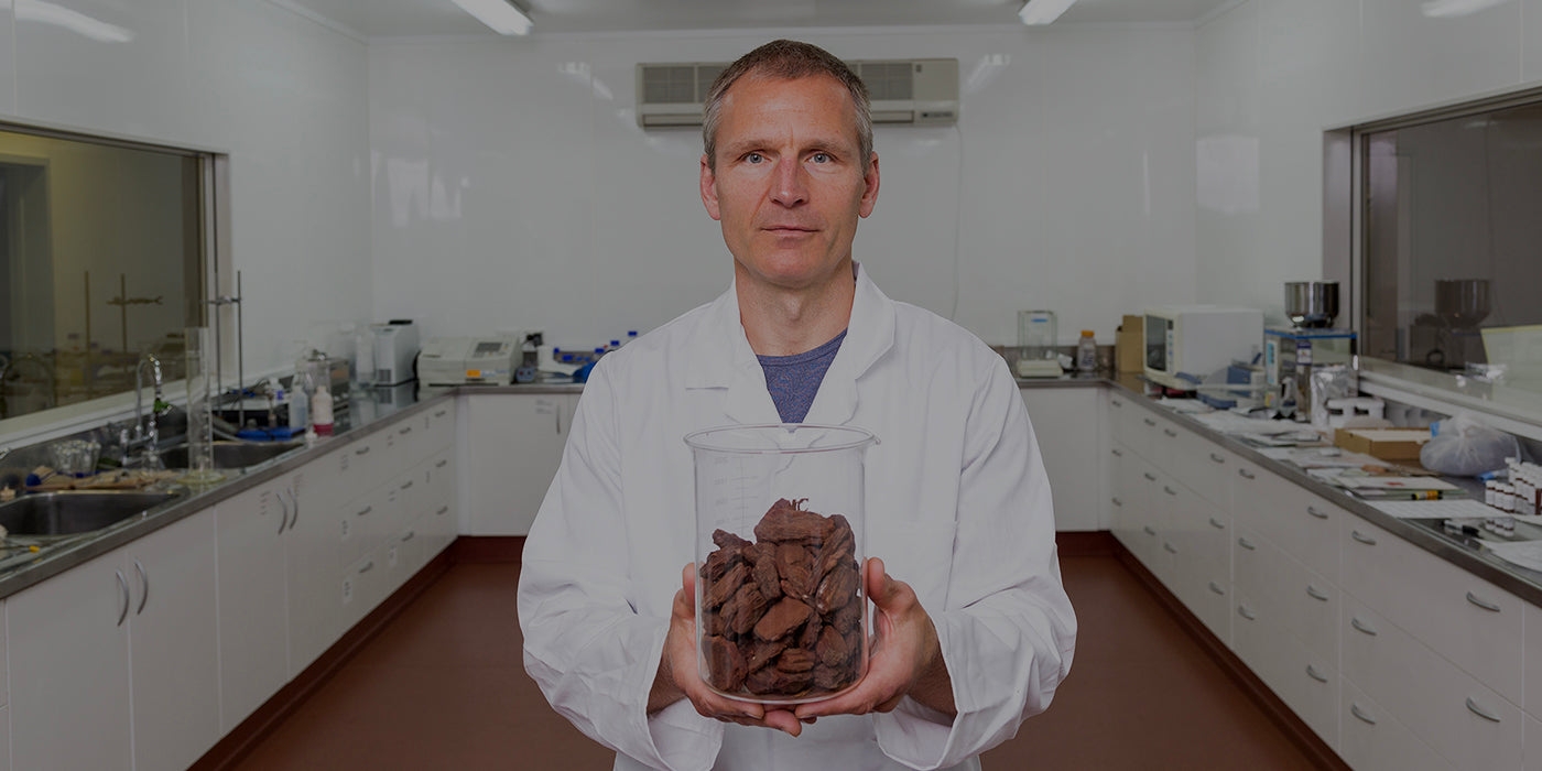 Research Finds Two New Zealand Plant Extracts Reduce High Blood Pressure