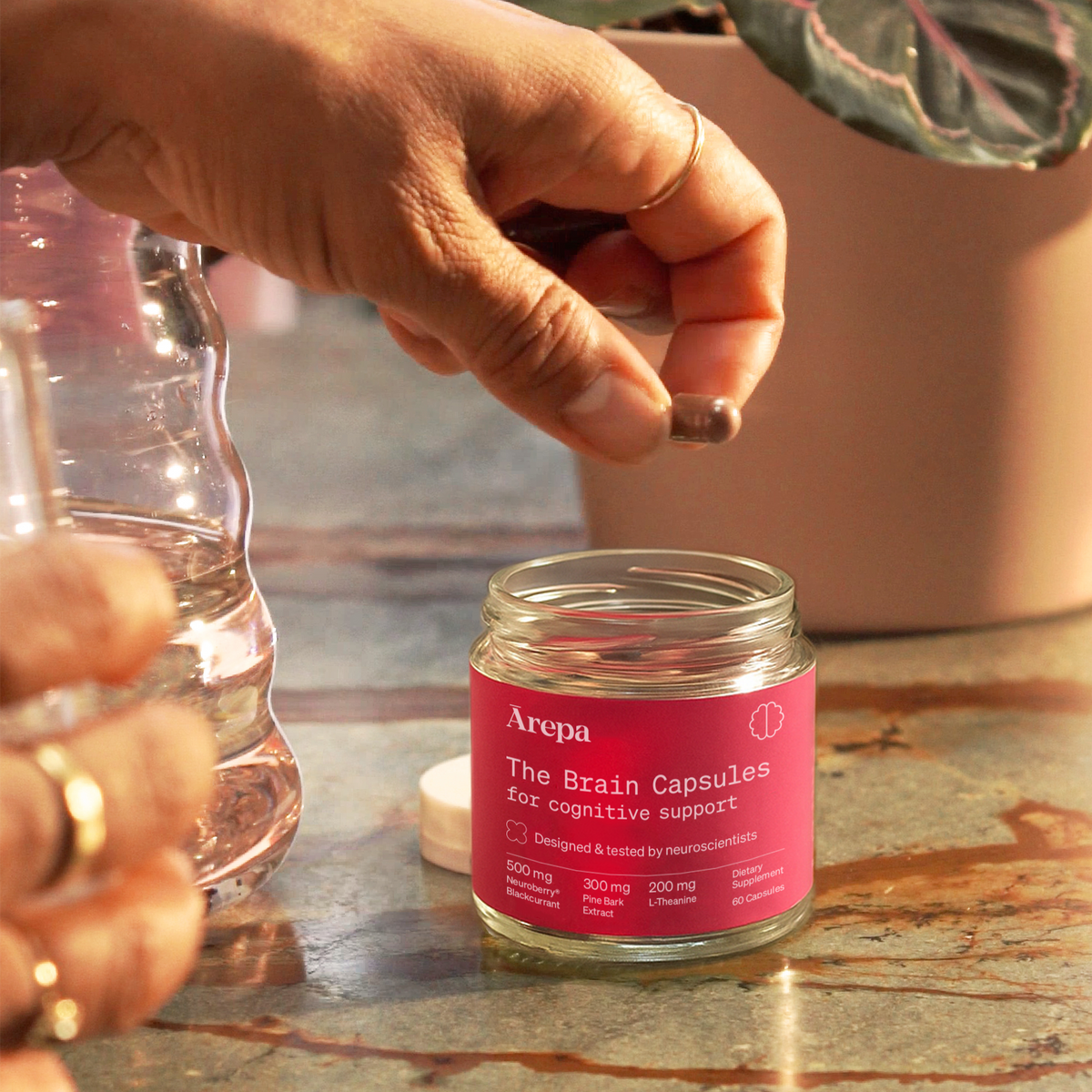 SALE - The Brain Capsules