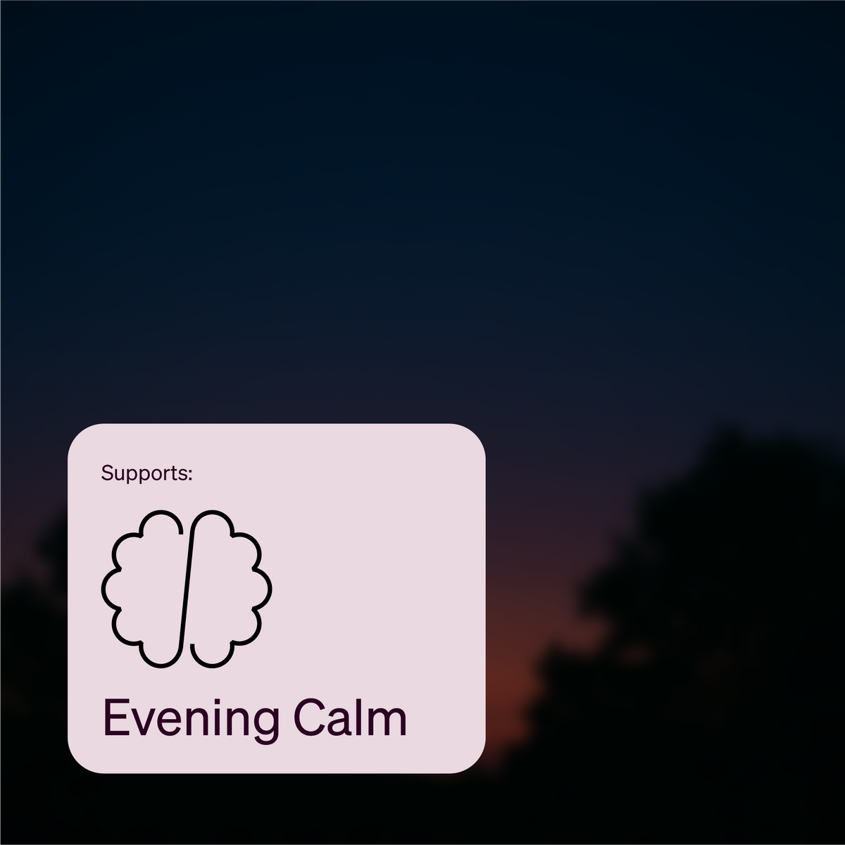 The Brain Capsules for Sleep Support