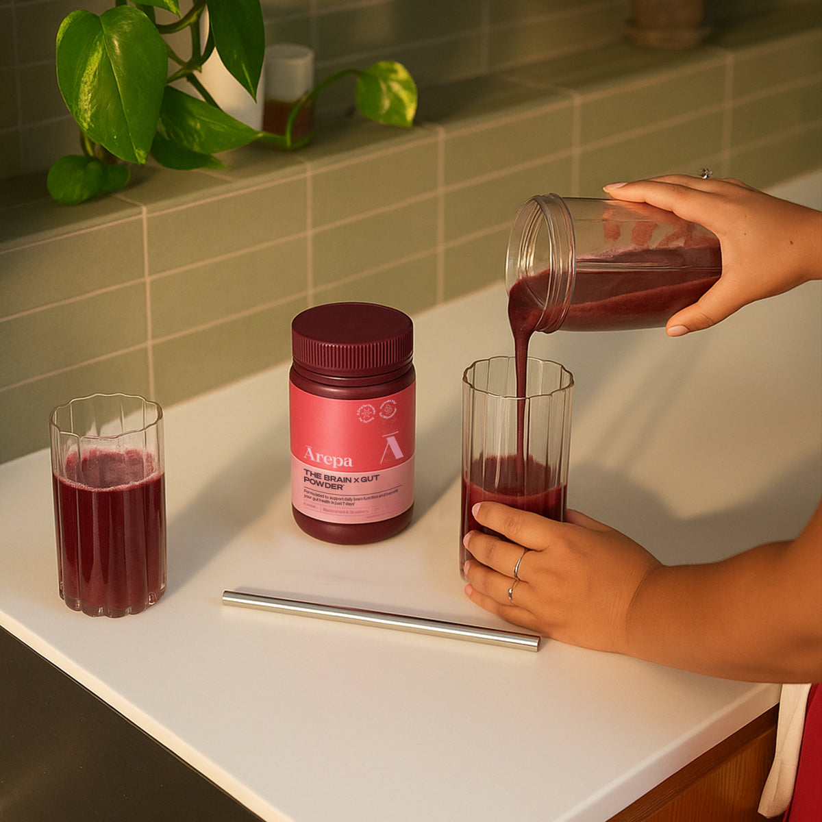 SALE - The Brain x Gut Powder⁺